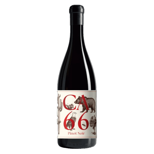 Weingut Hannes Sabathi Südsteiermark DAC CA 66 Pinot Noir 2023