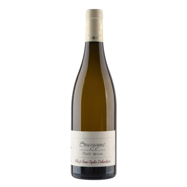 Domaine Rois Mages - Anne-Sophie Debavelaere Plante Moraine Bourgogne 2022